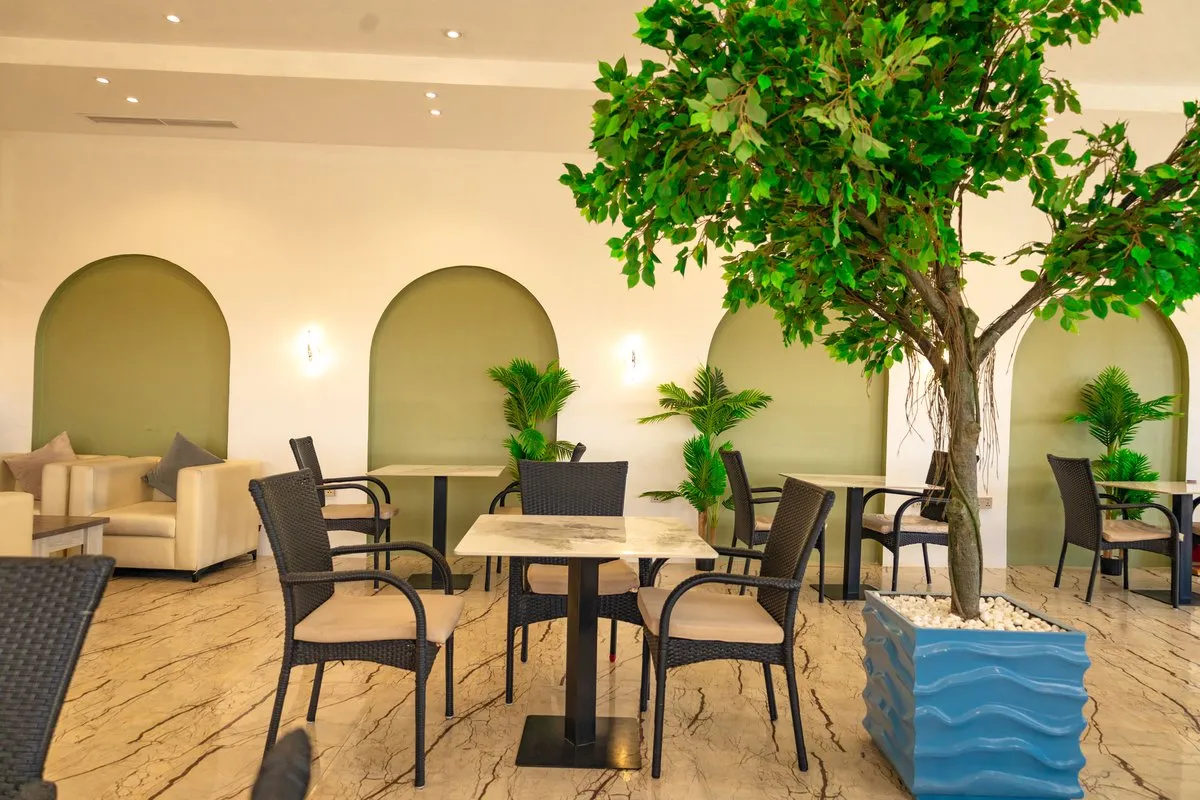 Exquisite Lounges and Dining